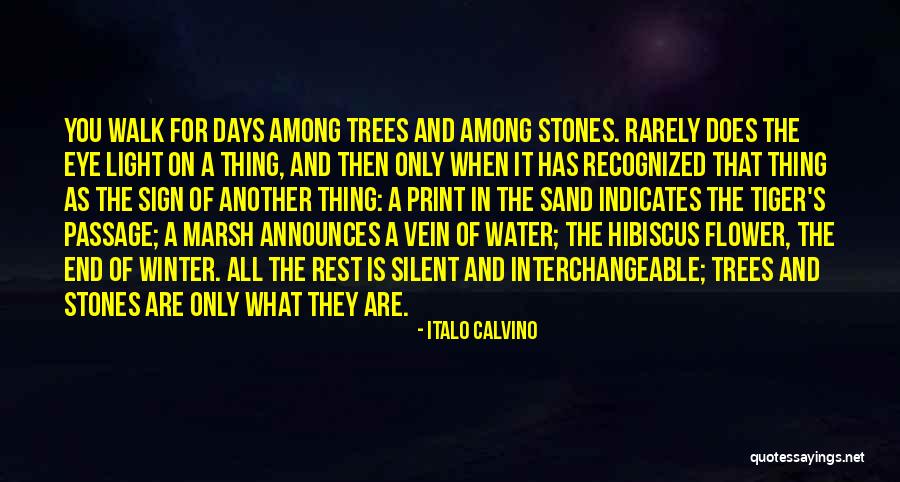 Stones In Water Quotes By Italo Calvino