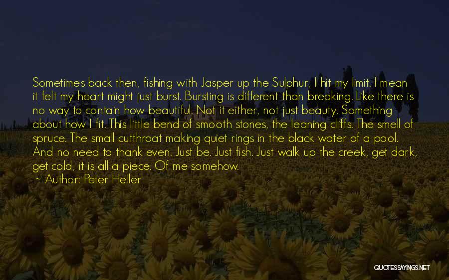 Stones In Water Quotes By Peter Heller