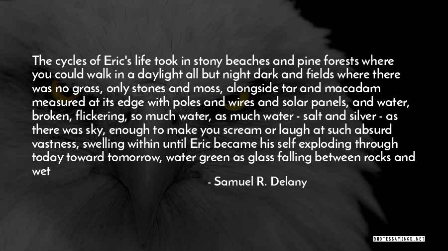 Stones In Water Quotes By Samuel R. Delany