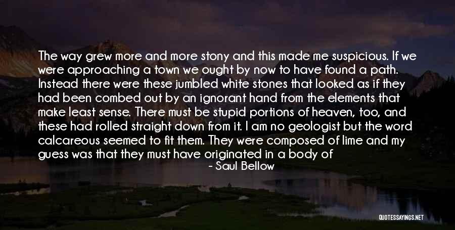 Stones In Water Quotes By Saul Bellow