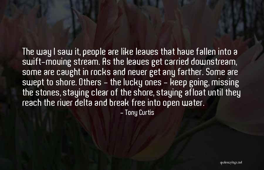 Stones In Water Quotes By Tony Curtis Stones In Water Quotes By Tony Curtis