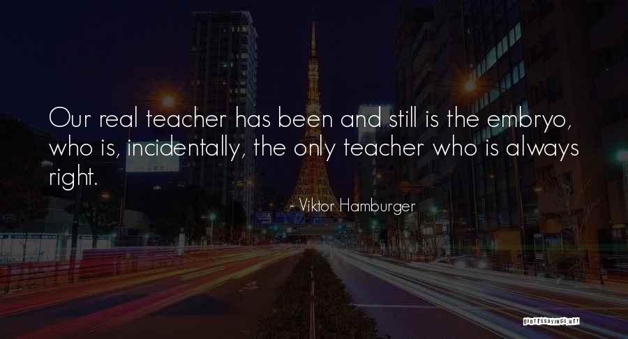 Stones To Dramas Quotes By Viktor Hamburger Stones To Dramas Quotes By Viktor Hamburger