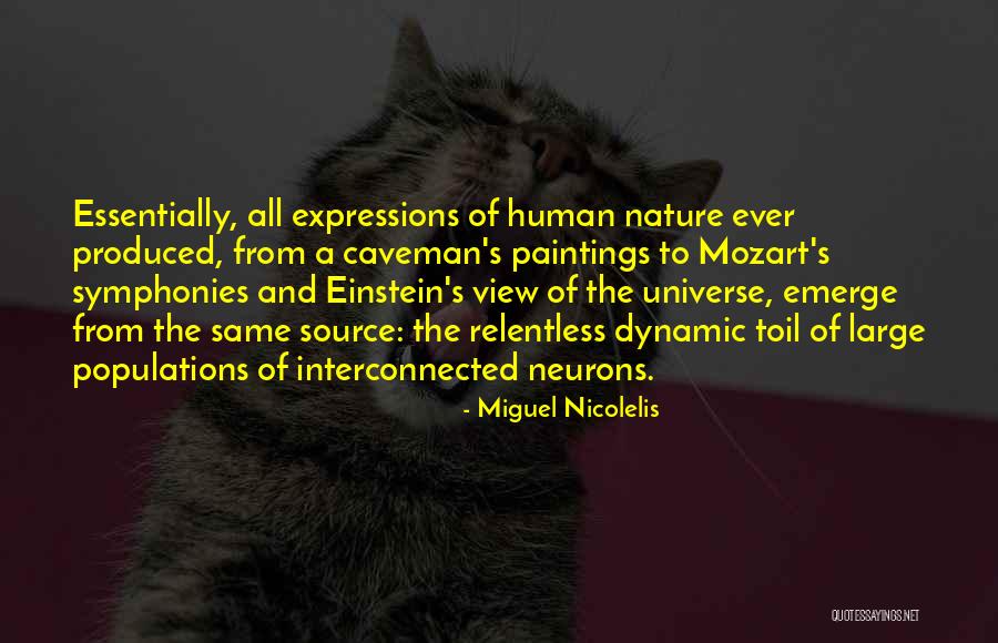 Stonework Quotes By Miguel Nicolelis Stonework Quotes By Miguel Nicolelis