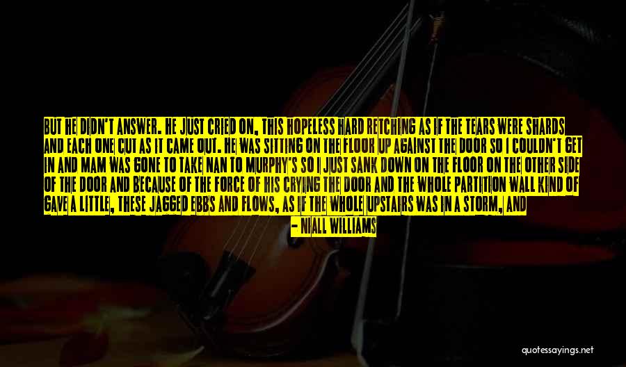 Stonys World Quotes By Niall Williams Stonys World Quotes By Niall Williams
