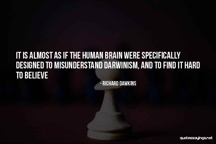 Stonys World Quotes By Richard Dawkins Stonys World Quotes By Richard Dawkins