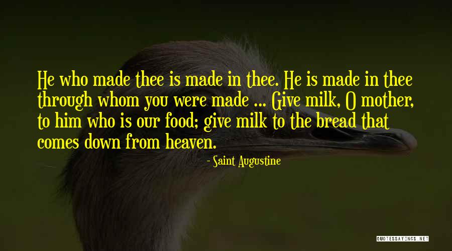 Stoodleys Small Quotes By Saint Augustine Stoodleys Small Quotes By Saint Augustine