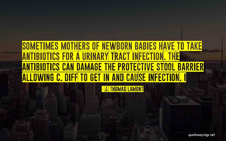 Stool Quotes By J. Thomas LaMont Stool Quotes By J. Thomas LaMont