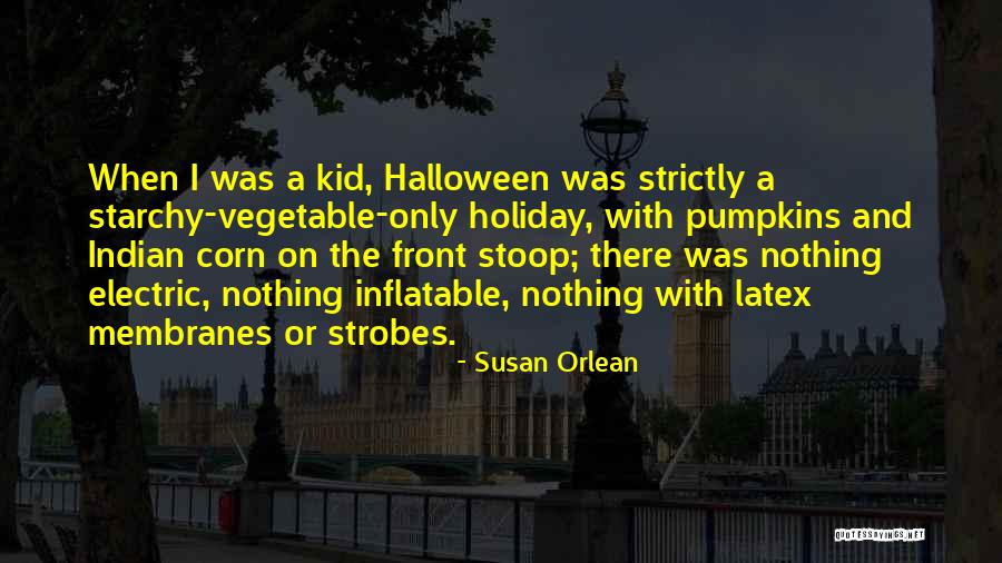 Stoop Kid Quotes By Susan Orlean