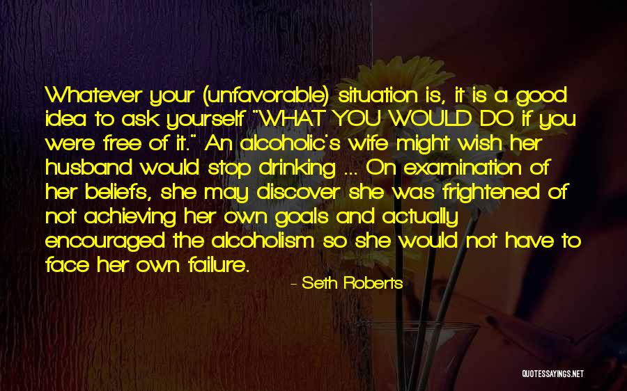 Stop Alcoholism Quotes By Seth Roberts