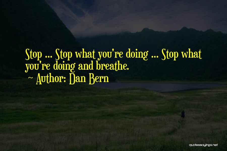 Stop And Breathe Quotes By Dan Bern