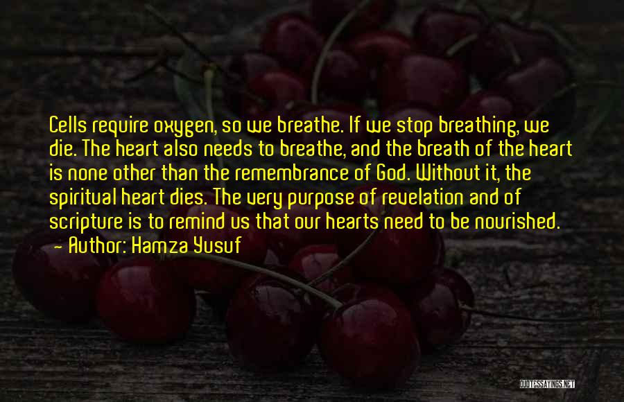 Stop And Breathe Quotes By Hamza Yusuf