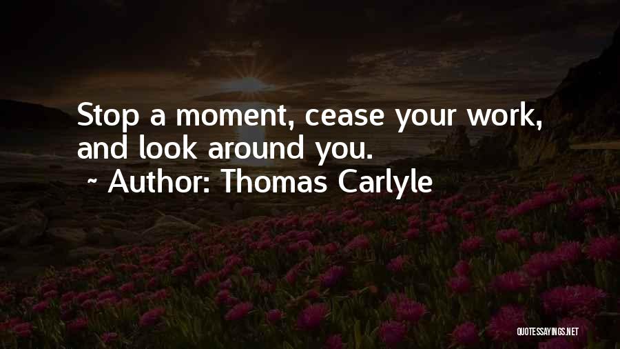 Stop And Look Around Quotes By Thomas Carlyle