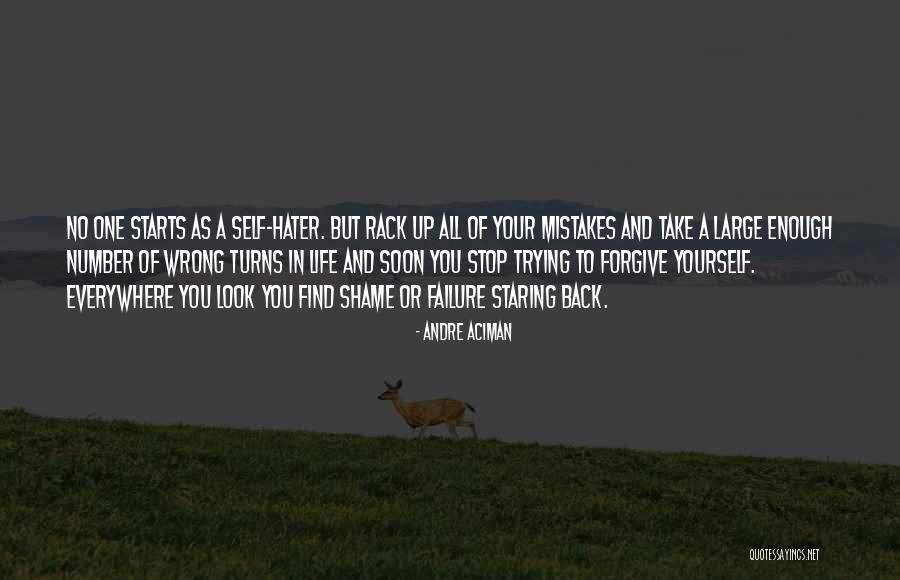 Stop And Look Back Quotes By Andre Aciman