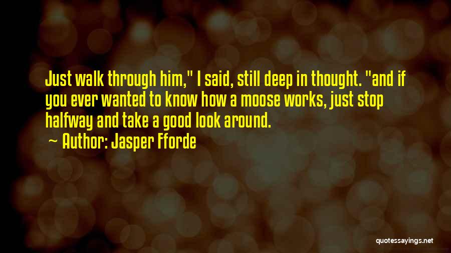 Stop And Take A Look Quotes By Jasper Fforde