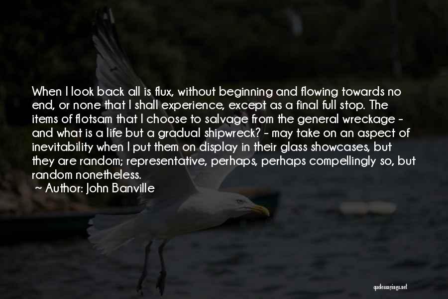 Stop And Take A Look Quotes By John Banville