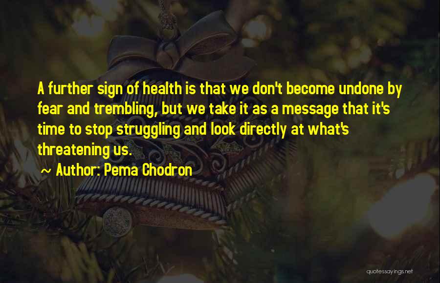 Stop And Take A Look Quotes By Pema Chodron