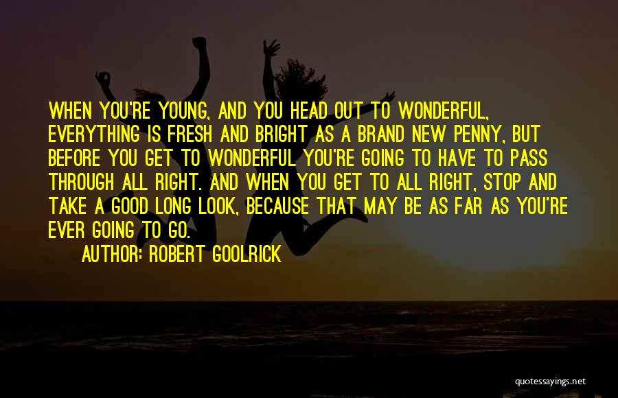 Stop And Take A Look Quotes By Robert Goolrick