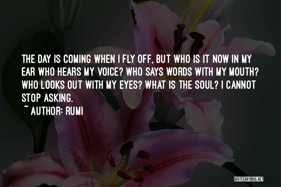 Stop Asking Quotes By Rumi