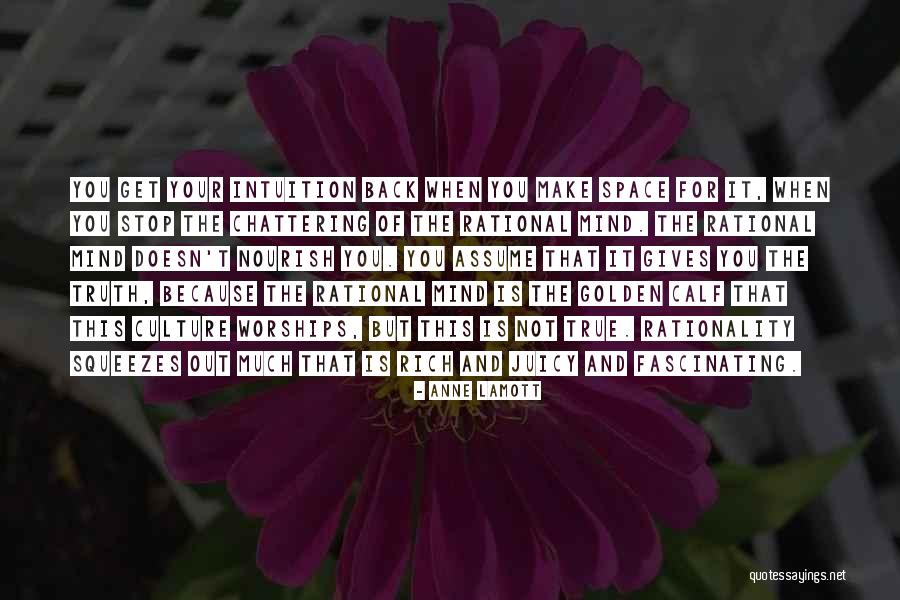 Stop Assume Quotes By Anne Lamott Stop Assume Quotes By Anne Lamott