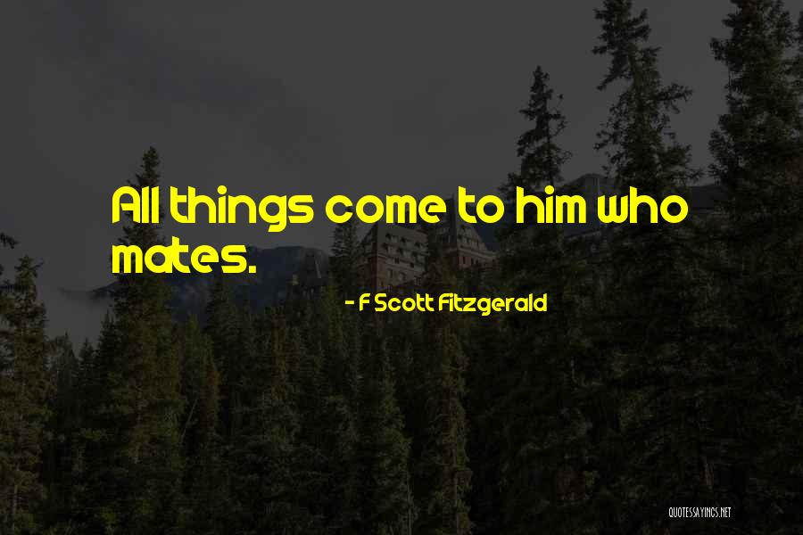 Stop Bashing Quotes By F Scott Fitzgerald Stop Bashing Quotes By F Scott Fitzgerald