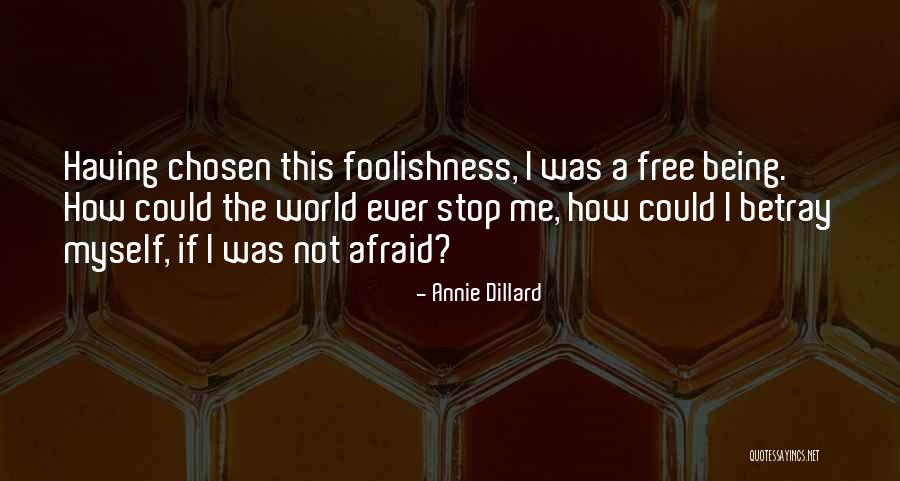 Stop Being Afraid Quotes By Annie Dillard