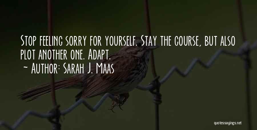 Stop Feeling Sorry Quotes By Sarah J. Maas