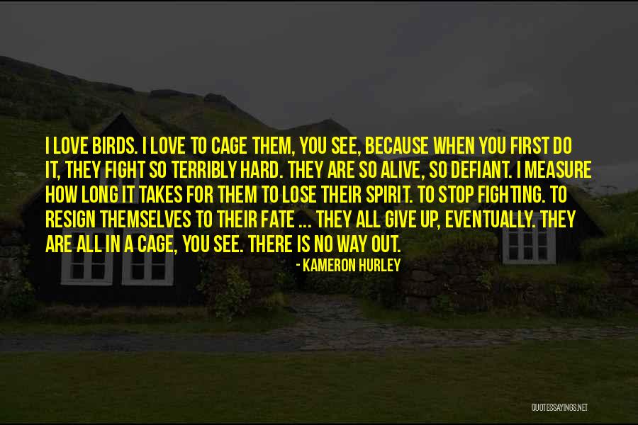 Stop Fighting For Love Quotes By Kameron Hurley