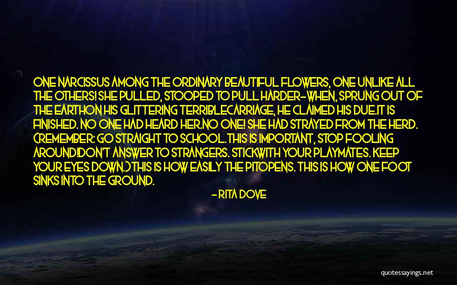 Stop Fooling Quotes By Rita Dove Stop Fooling Quotes By Rita Dove