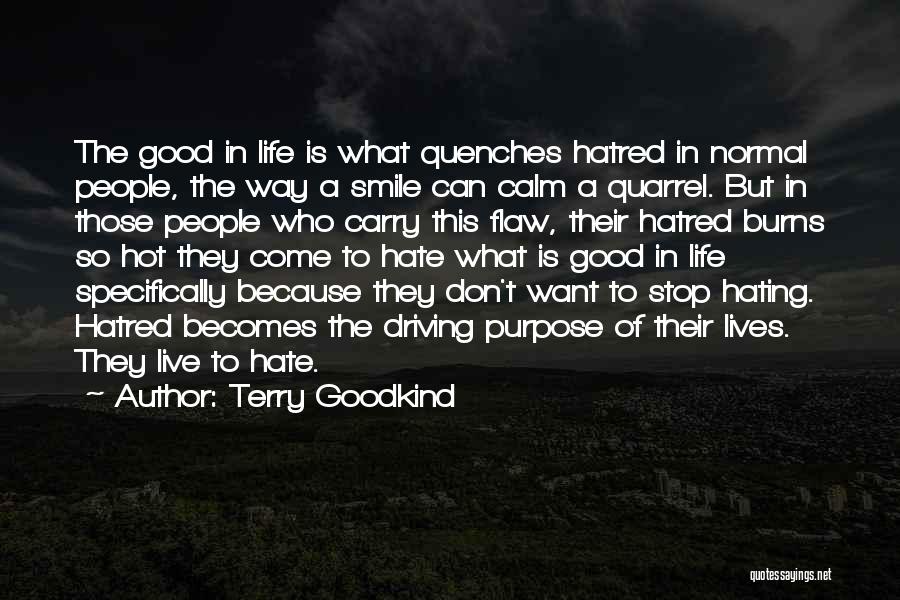 Stop Hating Me Quotes By Terry Goodkind