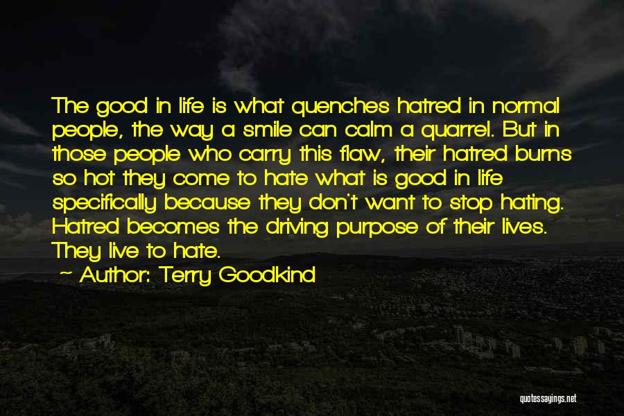 Stop Hating Quotes By Terry Goodkind