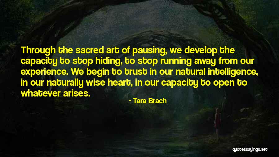 Stop Hiding Quotes By Tara Brach Stop Hiding Quotes By Tara Brach