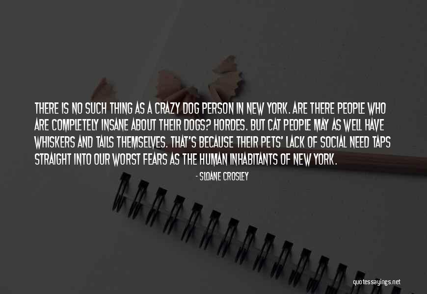 Stop Knife Crime Quotes By Sloane Crosley Stop Knife Crime Quotes By Sloane Crosley