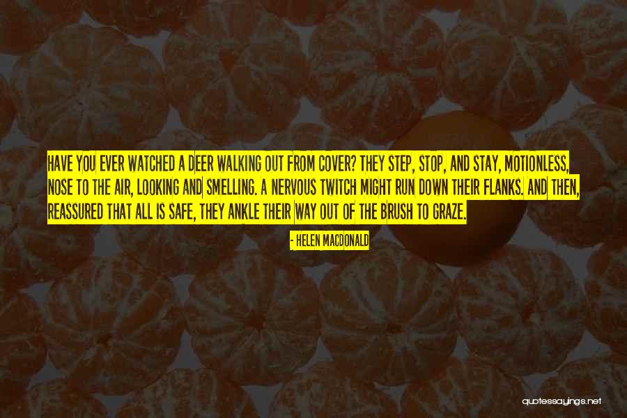 Stop Looking Down Quotes By Helen Macdonald Stop Looking Down Quotes By Helen Macdonald