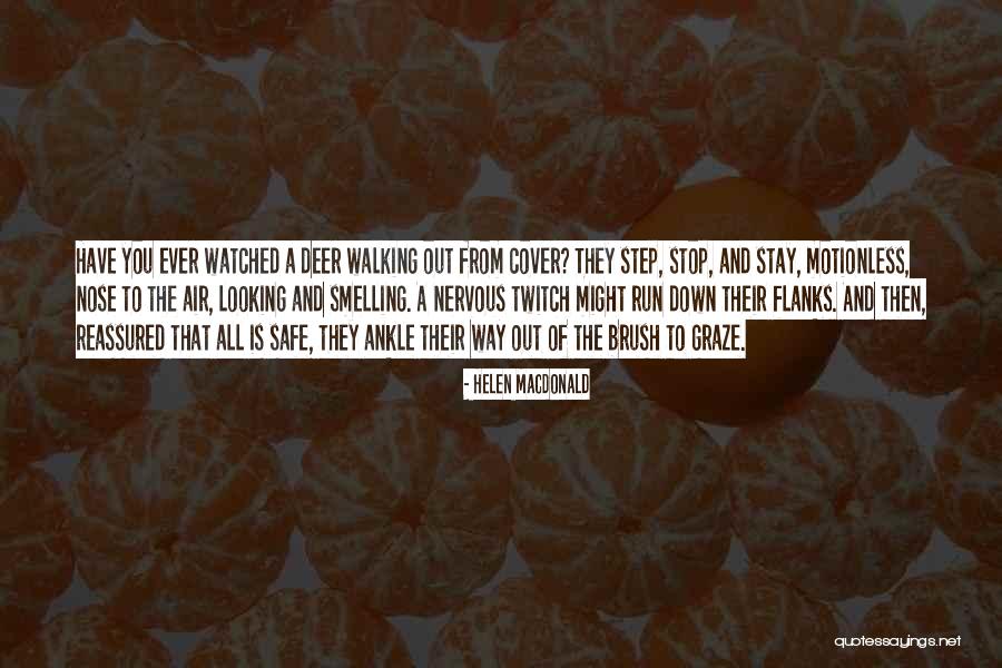Stop Looking Quotes By Helen Macdonald Stop Looking Quotes By Helen Macdonald