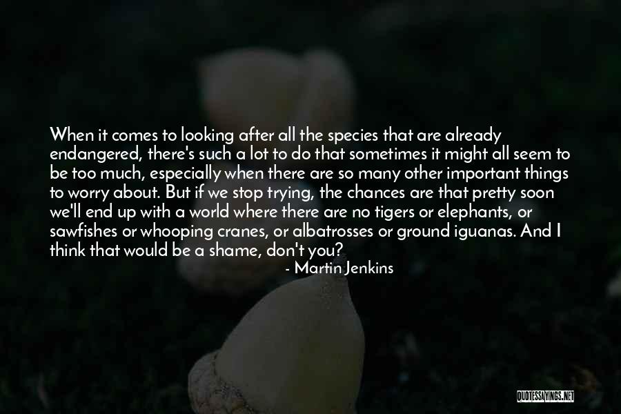 Stop Looking Quotes By Martin Jenkins Stop Looking Quotes By Martin Jenkins