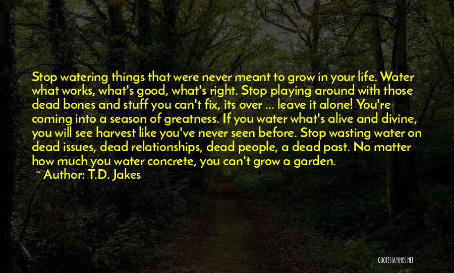 Stop Playing Around Quotes By T.D. Jakes