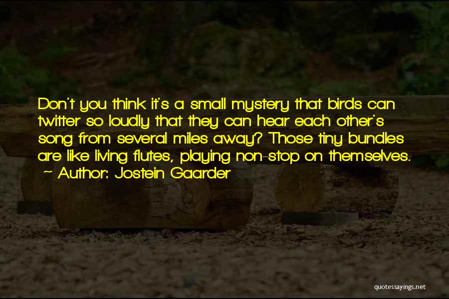 Stop Playing Small Quotes By Jostein Gaarder