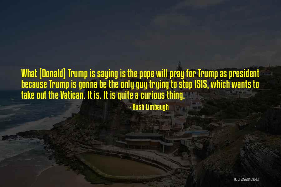 Stop Saying It Quotes By Rush Limbaugh Stop Saying It Quotes By Rush Limbaugh