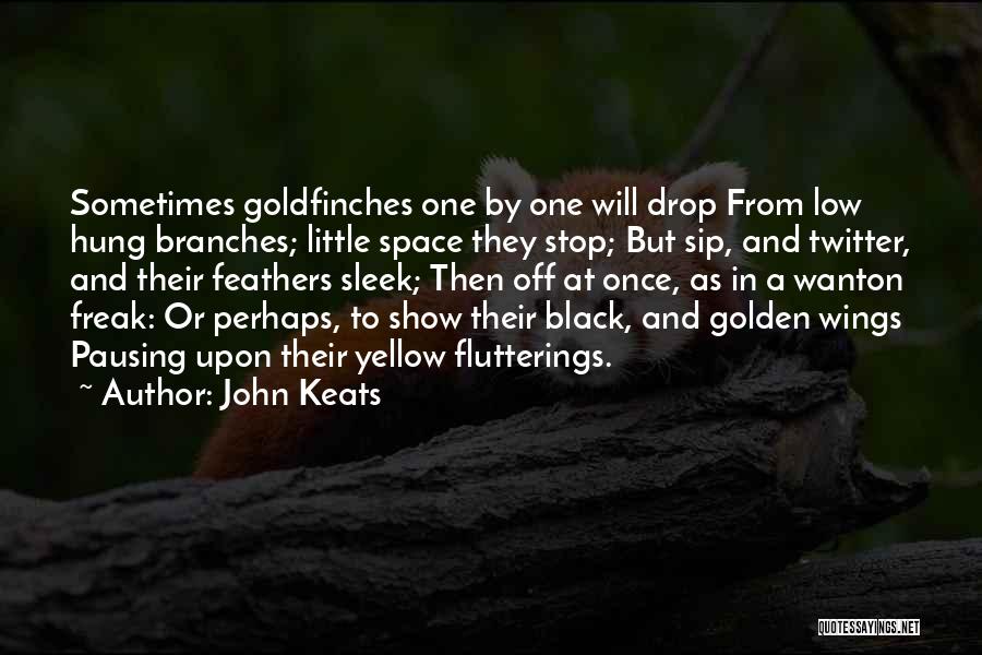 Stop Show Off Quotes By John Keats