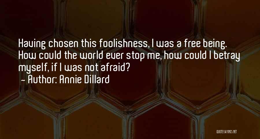 Stop The Foolishness Quotes By Annie Dillard