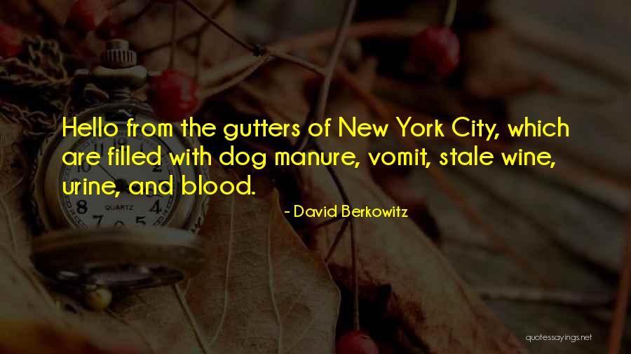 Stop Walking On Eggshells Quotes By David Berkowitz Stop Walking On Eggshells Quotes By David Berkowitz