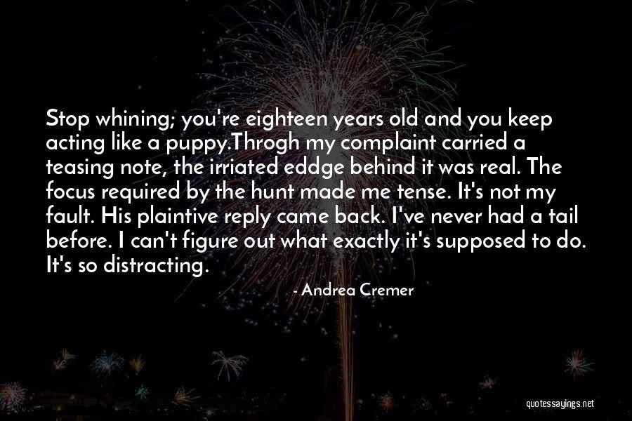 Stop Whining Quotes By Andrea Cremer Stop Whining Quotes By Andrea Cremer