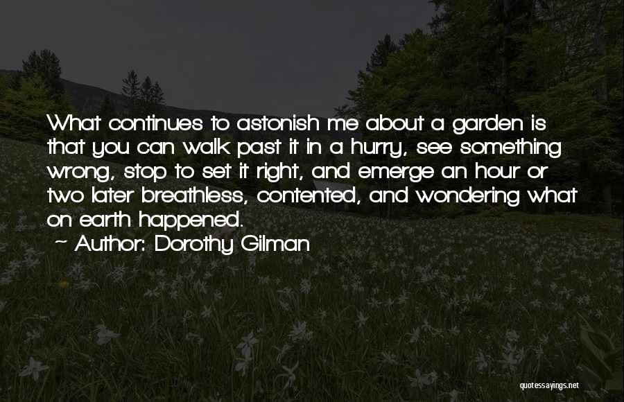 Stop Wondering What If Quotes By Dorothy Gilman