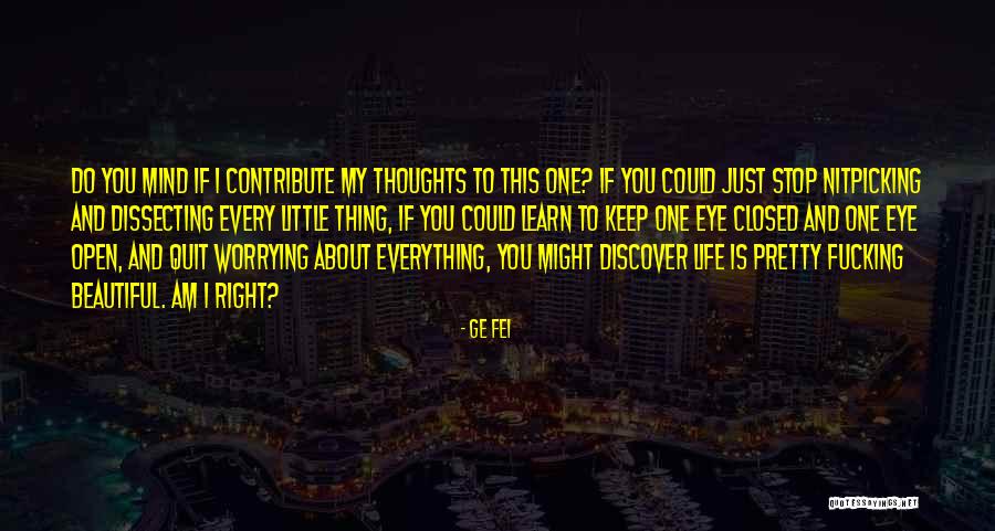 Stop Worrying About My Life Quotes By Ge Fei