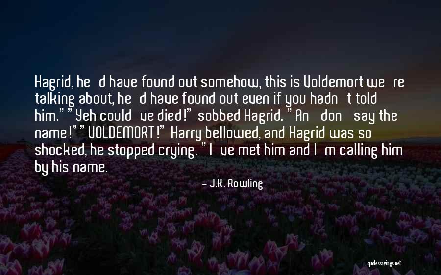 Stopped Talking Quotes By J.K. Rowling