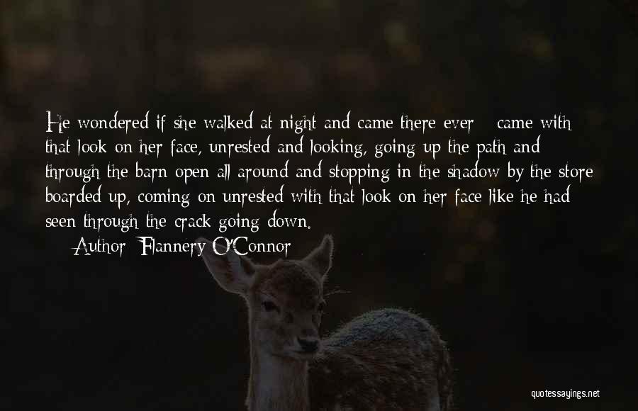 Stopping And Looking Around Quotes By Flannery O'Connor