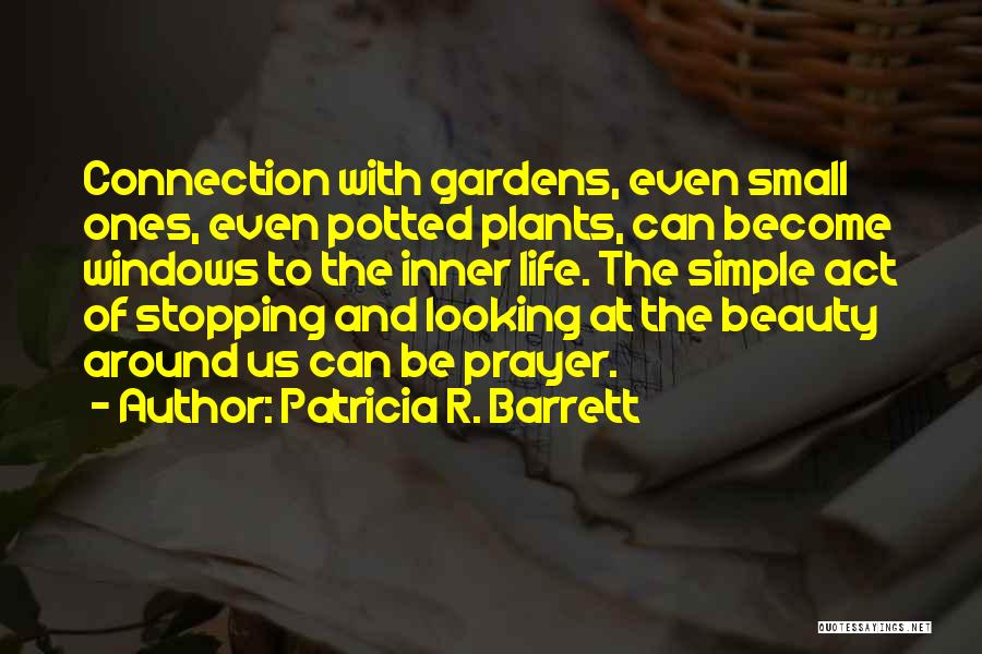 Stopping And Looking Around Quotes By Patricia R. Barrett