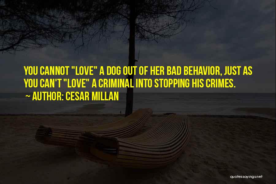 Stopping Love Quotes By Cesar Millan