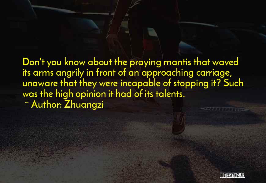 Stopping Quotes By Zhuangzi