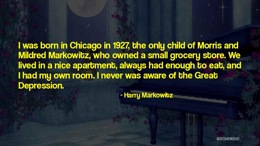 Store Room Quotes By Harry Markowitz